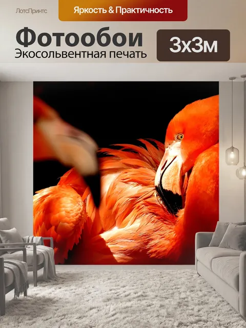 Фотообои Фламинго