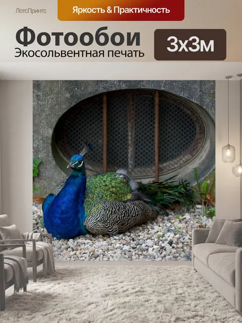 Фотообои Птица