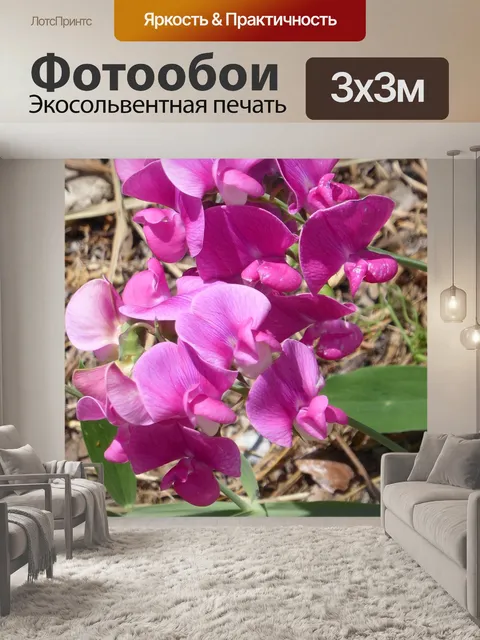 Фотообои Природа