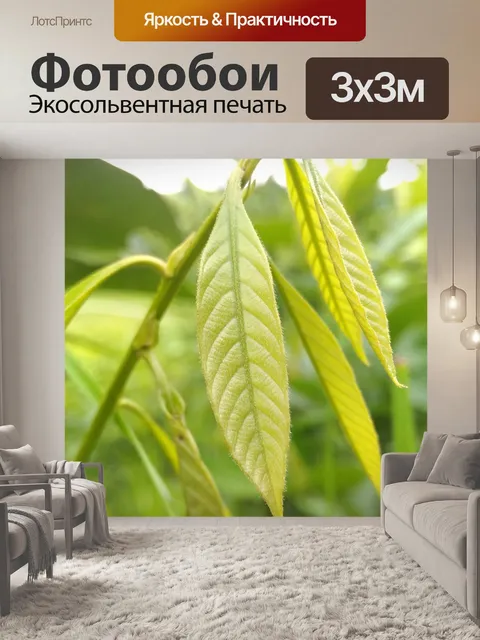 Фотообои Свежий