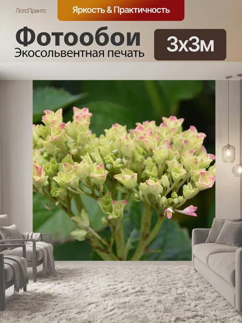 Фотообои Цветок