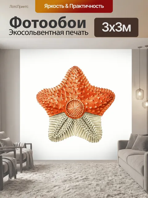 Фотообои Коралловый риф морская звезда старинное