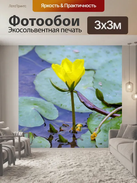 Фотообои Цветок лотоса