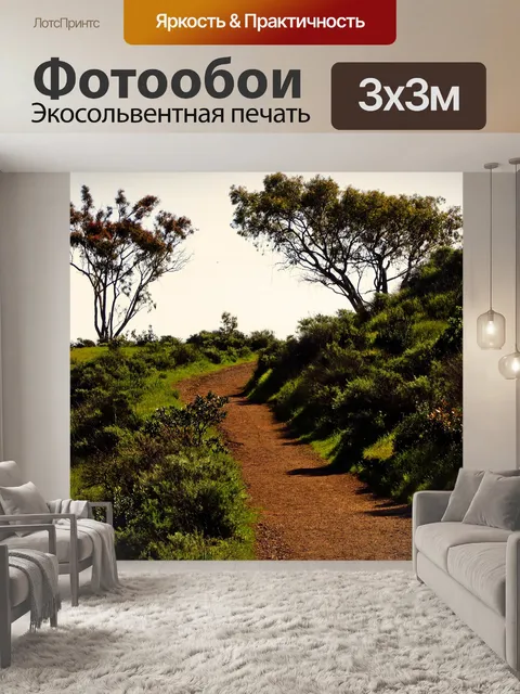 Фотообои Путь к деревьям