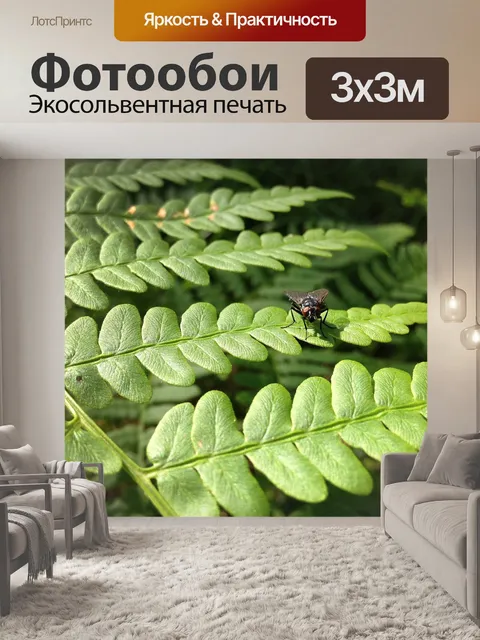 Фотообои Летать