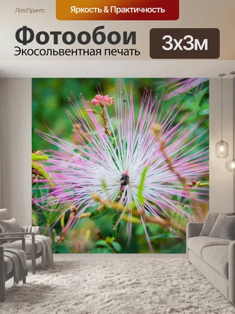Фотообои Цветок