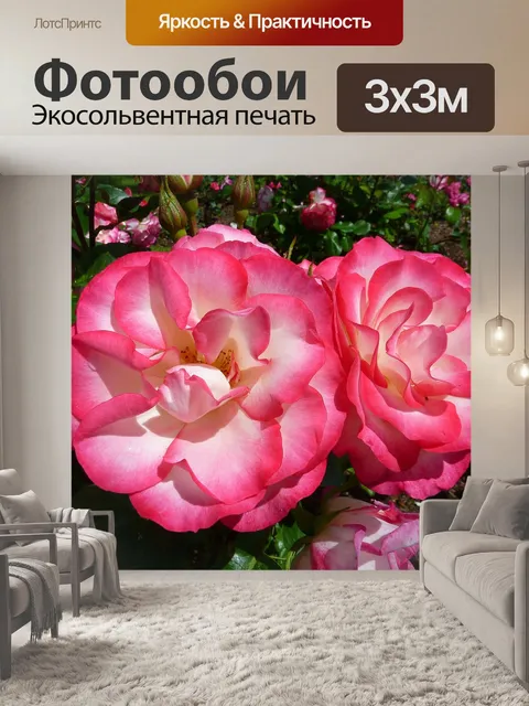 Фотообои Роза