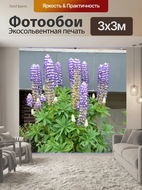 Фотообои Голландские цветы в саду