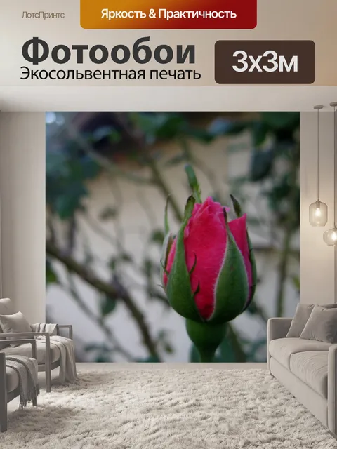 Фотообои Розы цветущие 1