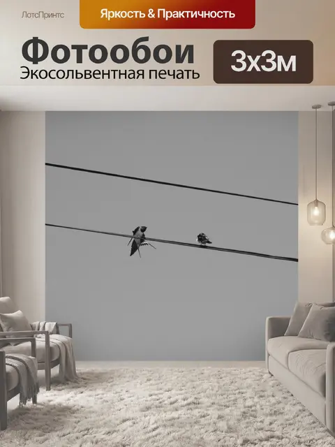 Фотообои Ласточки на проводах