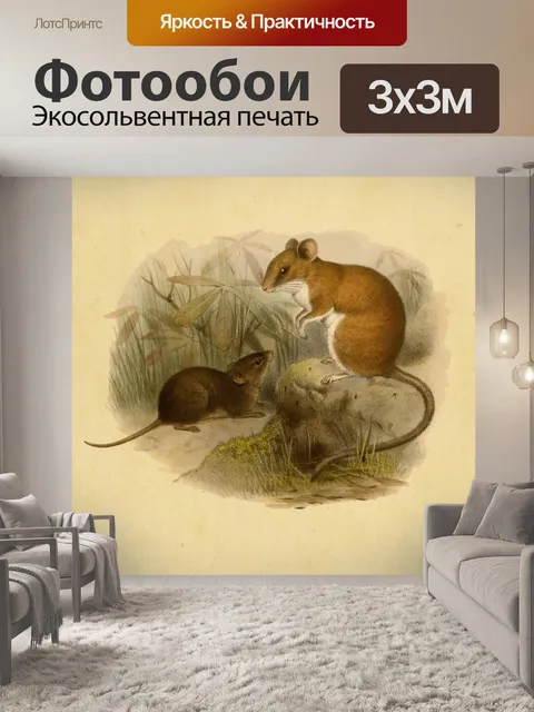 Фотообои Мыши Винтажная Живопись