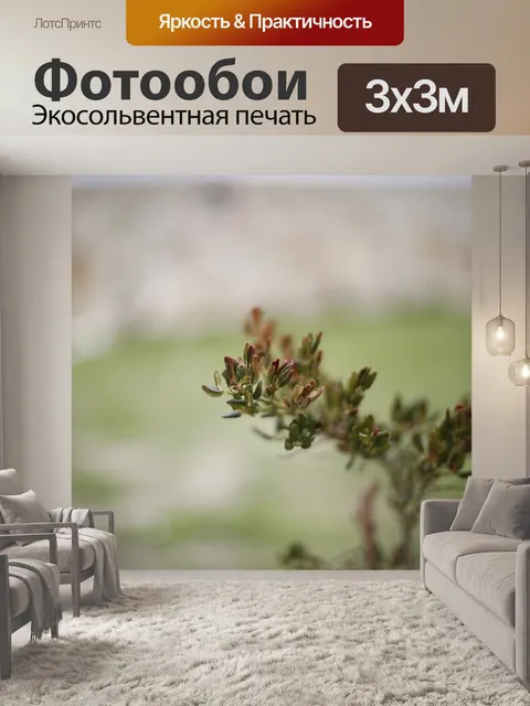 Фотообои Листья