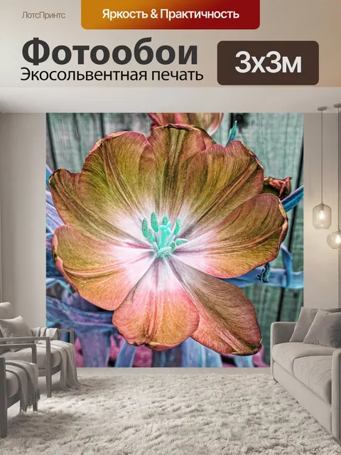 Фотообои Оранжевые тюльпаны