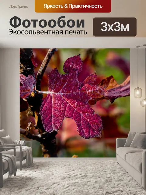 Фотообои Красный цвет листьев