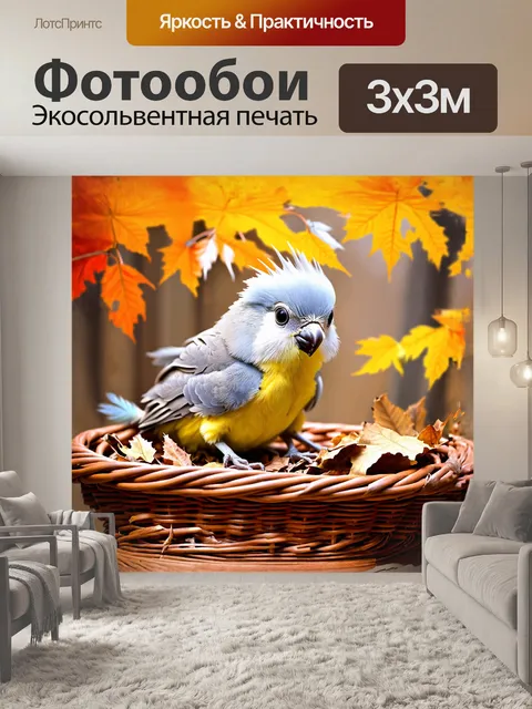 Фотообои корелла, играющая в корзине с сухими листьями и природными элементами, её глаза полны энергии и любопытства