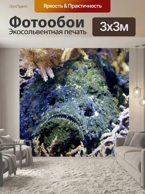 Фотообои Камень рыбы