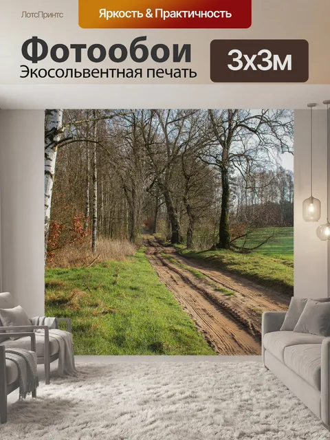 Фотообои Путь