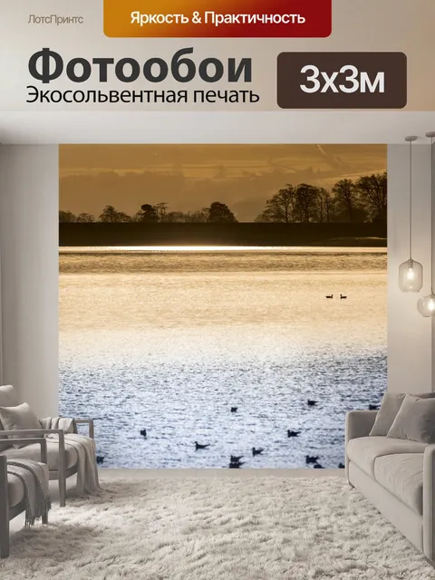 Фотообои Утро Пейзаж