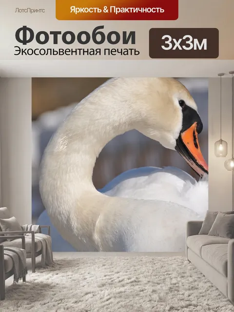 Фотообои Птица