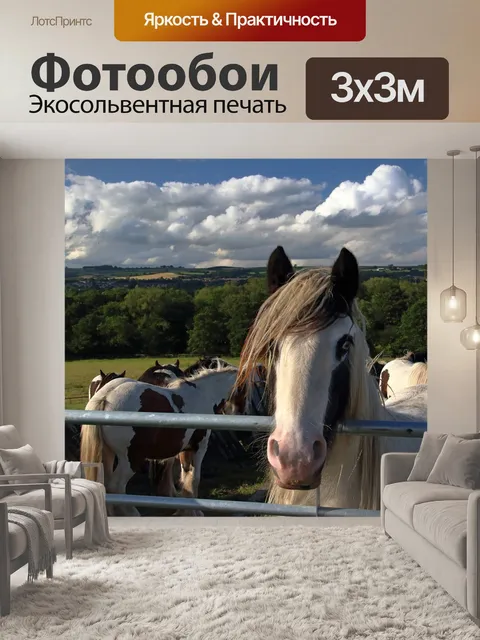 Фотообои Лошади