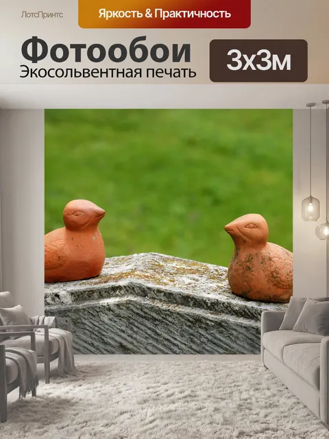 Фотообои Птицы