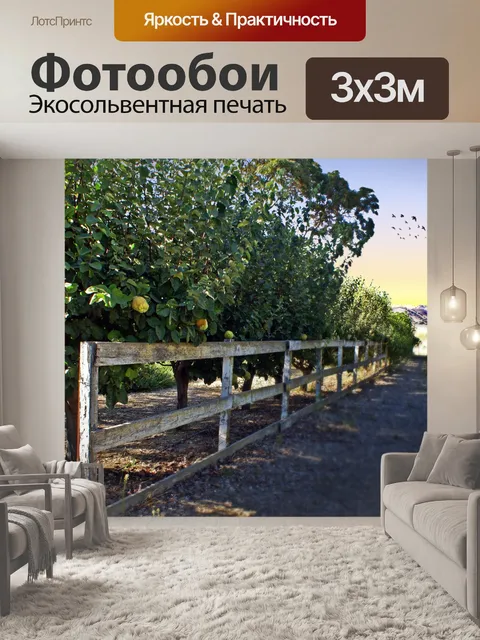 Фотообои Спелая айва Фрукты