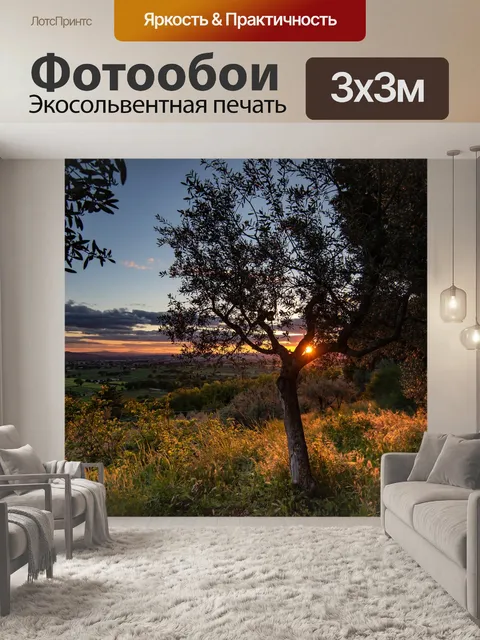 Фотообои Закат