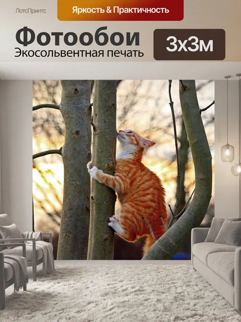 Фотообои Кот