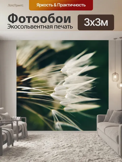 Фотообои Одуванчик