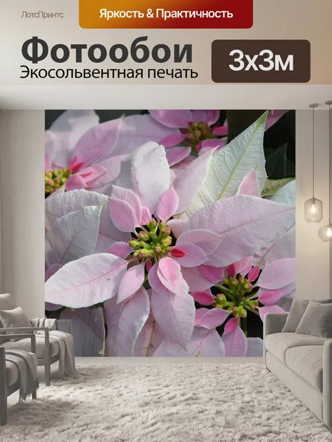 Фотообои Цветы
