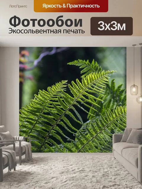 Фотообои Папоротники