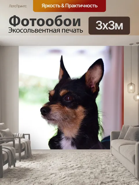 Фотообои Песок
