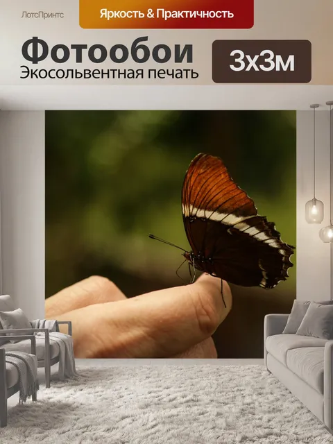 Фотообои Mariposa