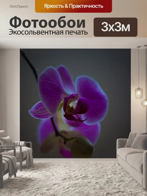 Фотообои Орхидея