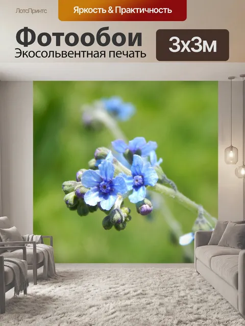 Фотообои Цветы