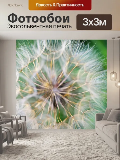 Фотообои Одуванчик
