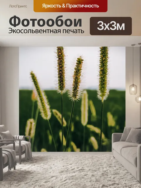 Фотообои Цветы