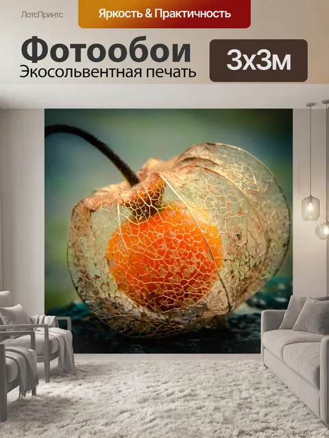 Фотообои Природа