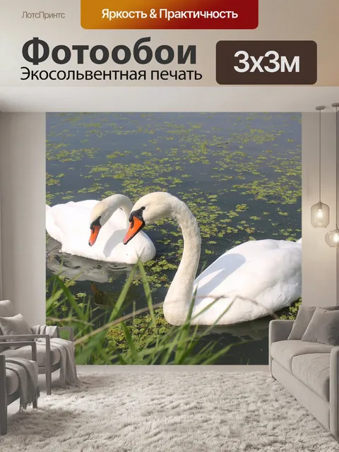 Фотообои Птицы