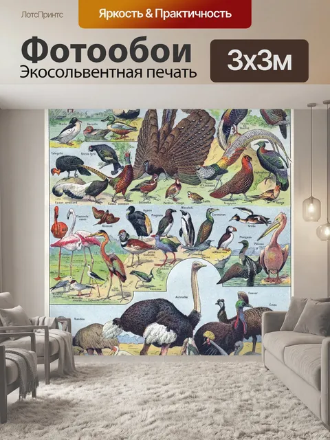Фотообои Иллюстрация старинного искусства птиц
