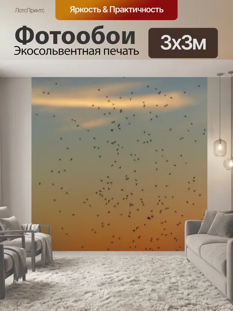 Фотообои Рой комаров