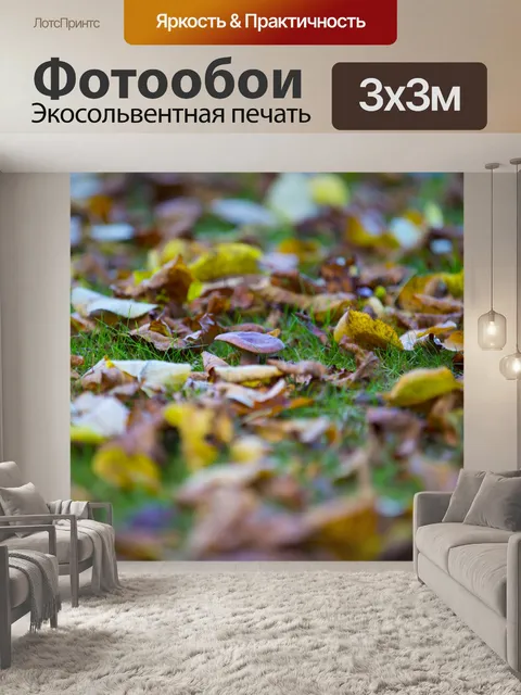 Фотообои грибы