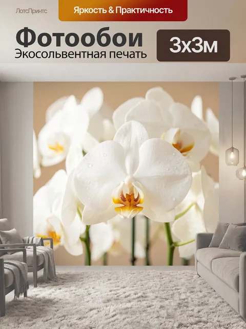 Фотообои Белые орхидеи с каплями росы