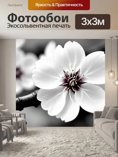 Фотообои купить с сакурой чернобелый