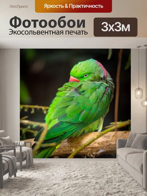 Фотообои Александринский попугай