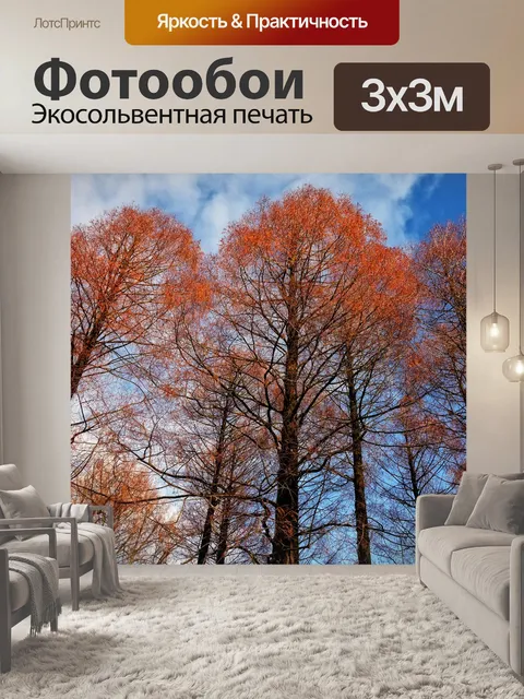 Фотообои Верхушках деревьев