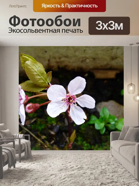 Фотообои Фон