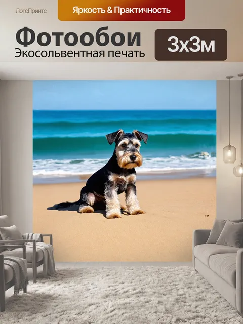 Фотообои шнауцер, красивый миниатюрный собака, сидит на золотистом песке пляжа, море на заднем плане переливается…