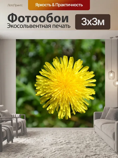 Фотообои Одуванчик