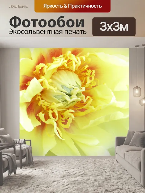 Фотообои Цветы